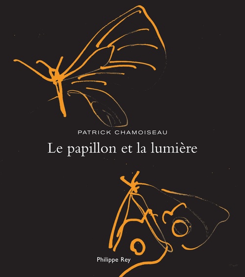 Couverture ebook de Le Papillon et la lumière, de Patrick Chamoiseau