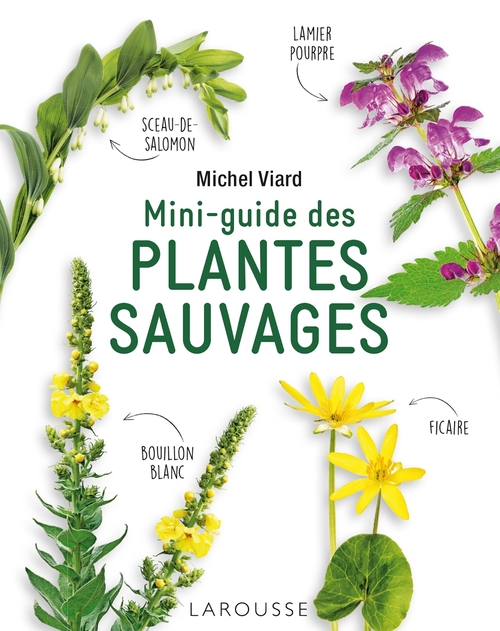 Couverture ebook de Mini-guide des plantes sauvages, de Michel Viard