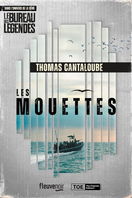 ebook cover of Les Mouettes - Mission Sahel, by Thomas Cantaloube