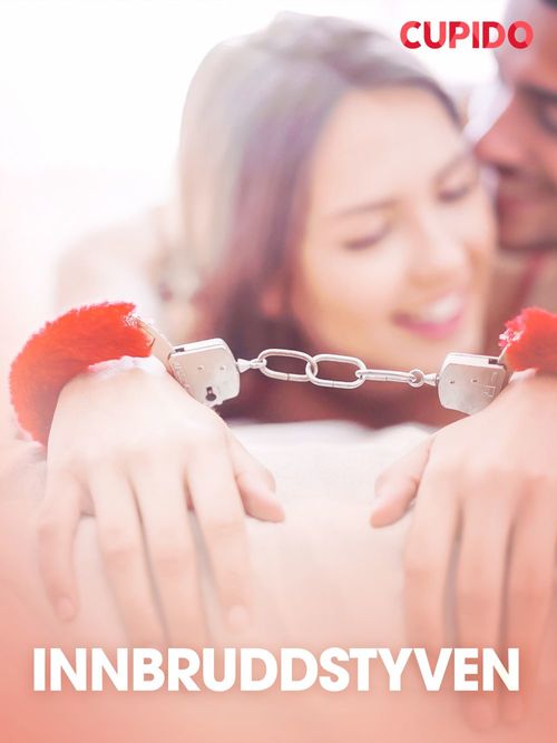 Couverture ebook de Innbruddstyven - erotiske noveller, de Cupido