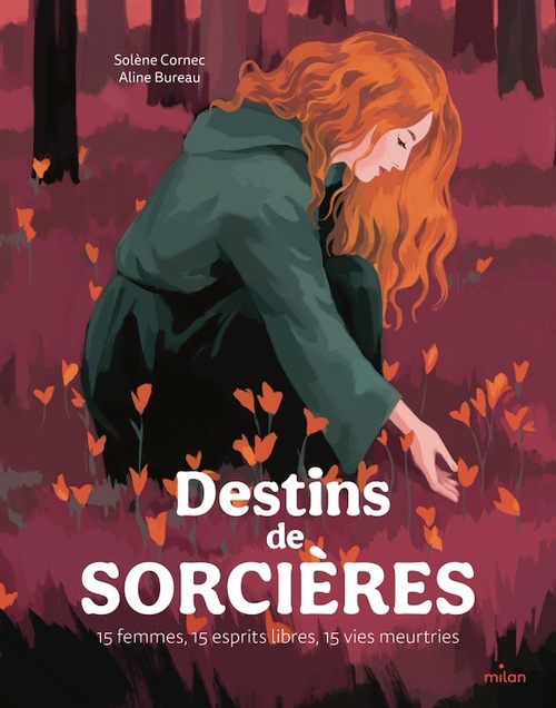 ebook cover of Destins de sorcières - 15 femmes, 15 esprits libres, 15 vies meurtries, by Solène Cornec, Aline Bureau