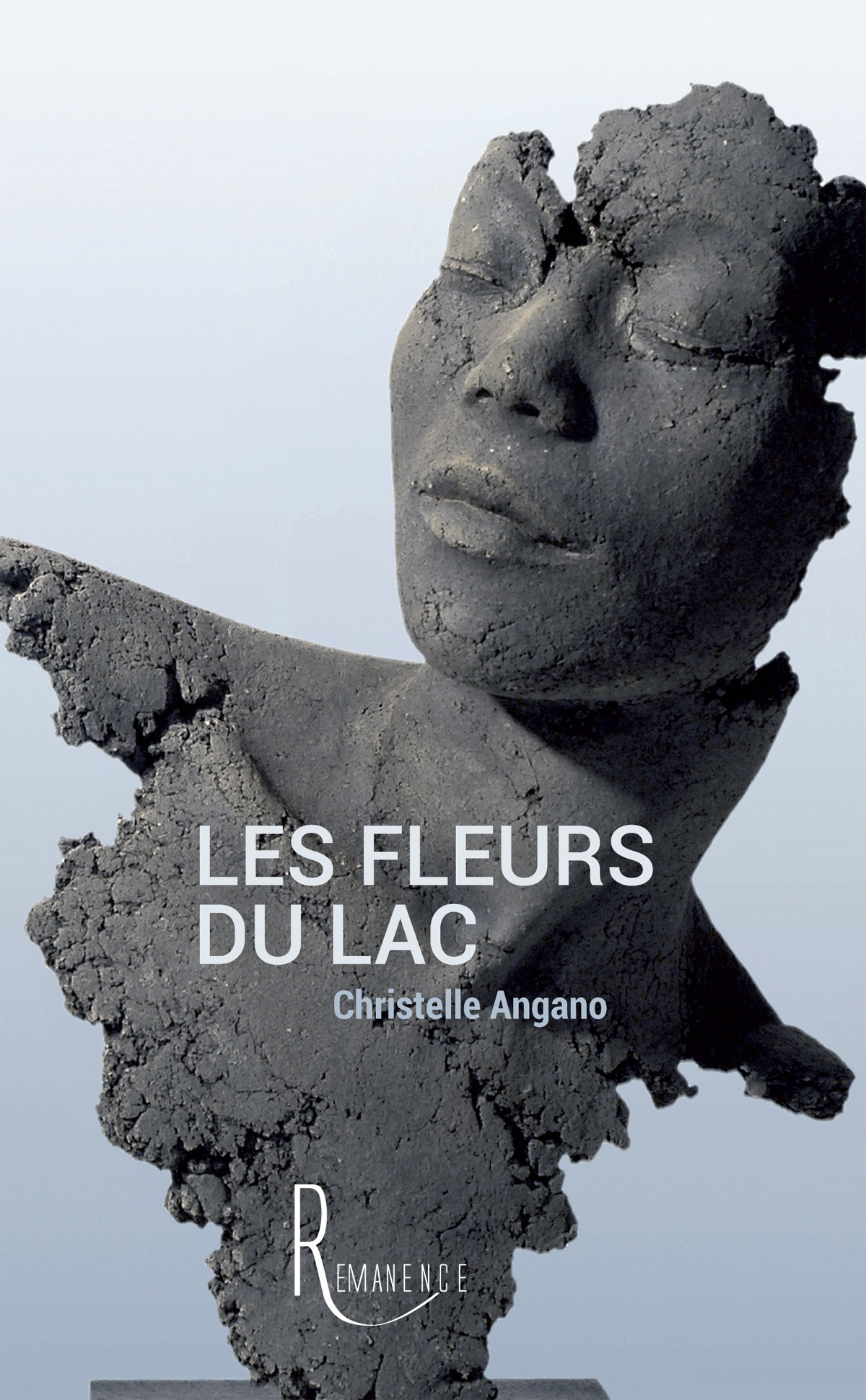 ebook cover of Les fleurs du lac, by Christelle Angano