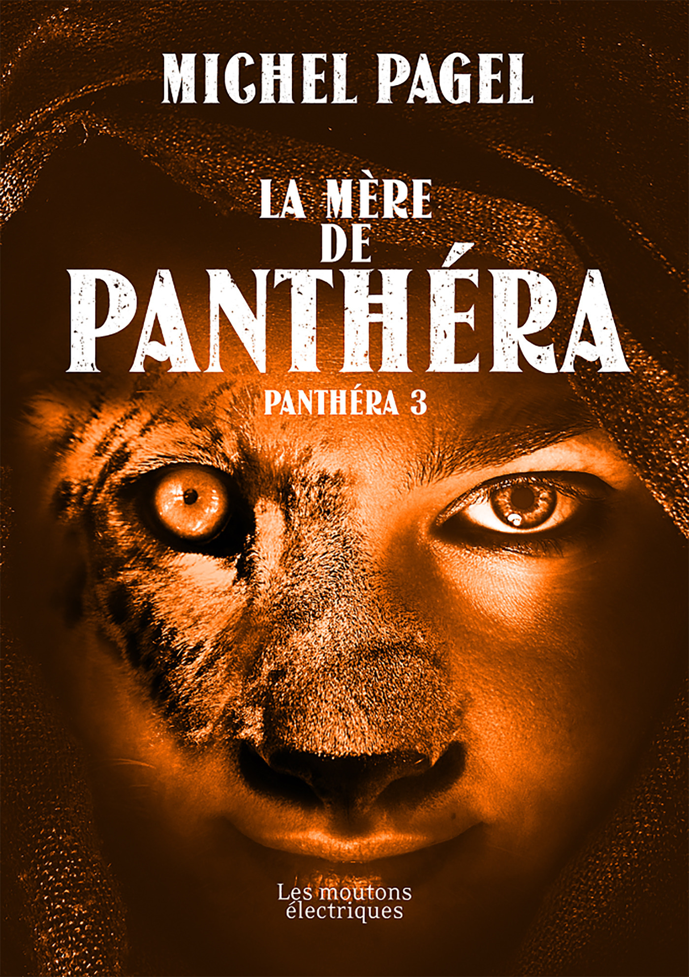 ebook cover of La Mère de Panthéra, by Michel Pagel