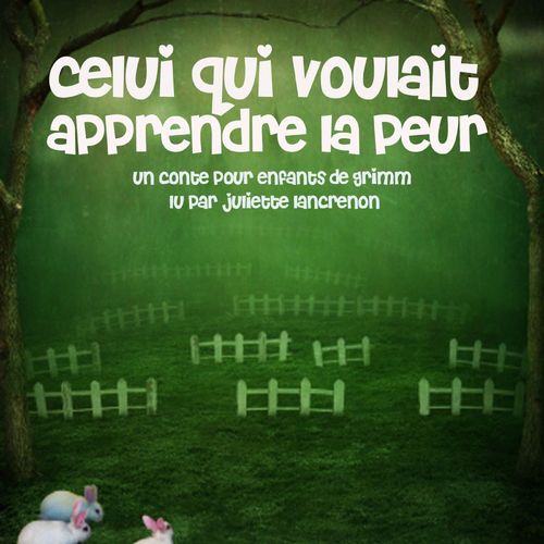 audiobook cover of Celui qui voulait apprendre la peur, by Frères Grimm