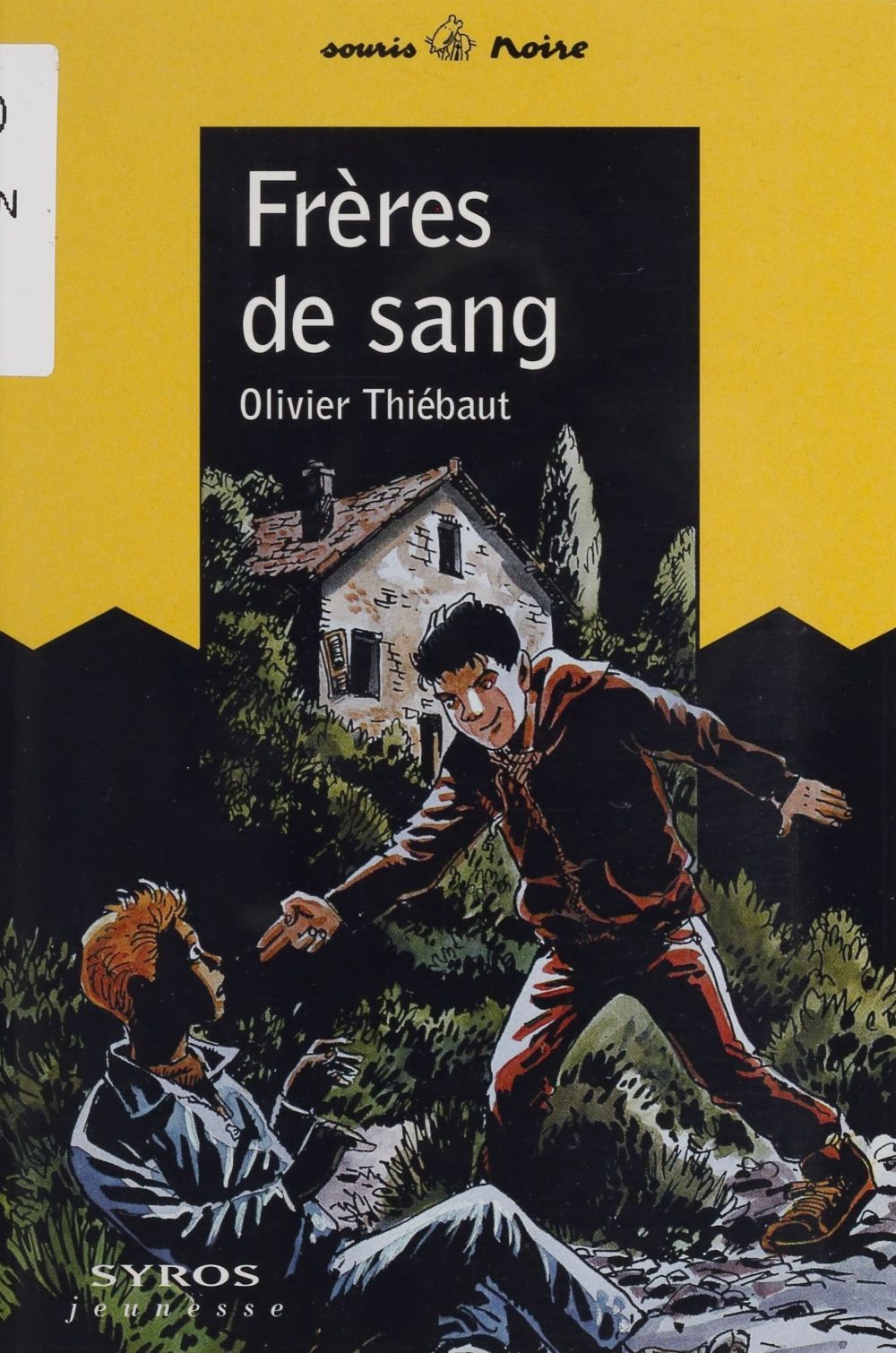 Couverture ebook de Frères de sang, de Olivier Thiébaut