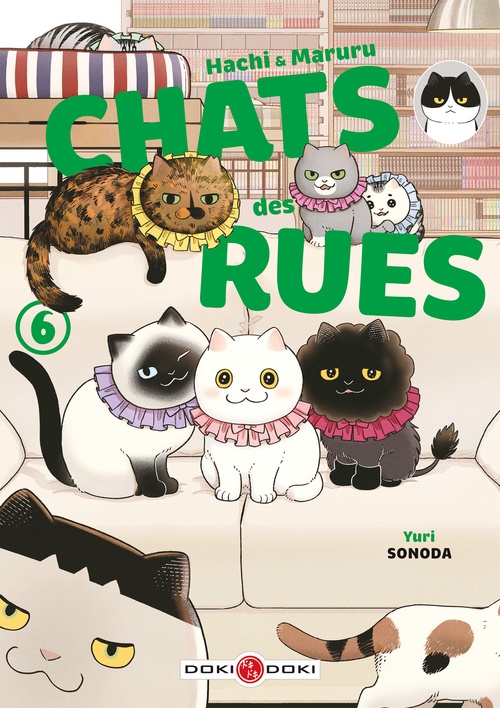 Couverture ebook de Hachi & Maruru - Chats des rues - Tome 6 - Hachi & Maruru - Chats des rues, de Yuri Sonoda