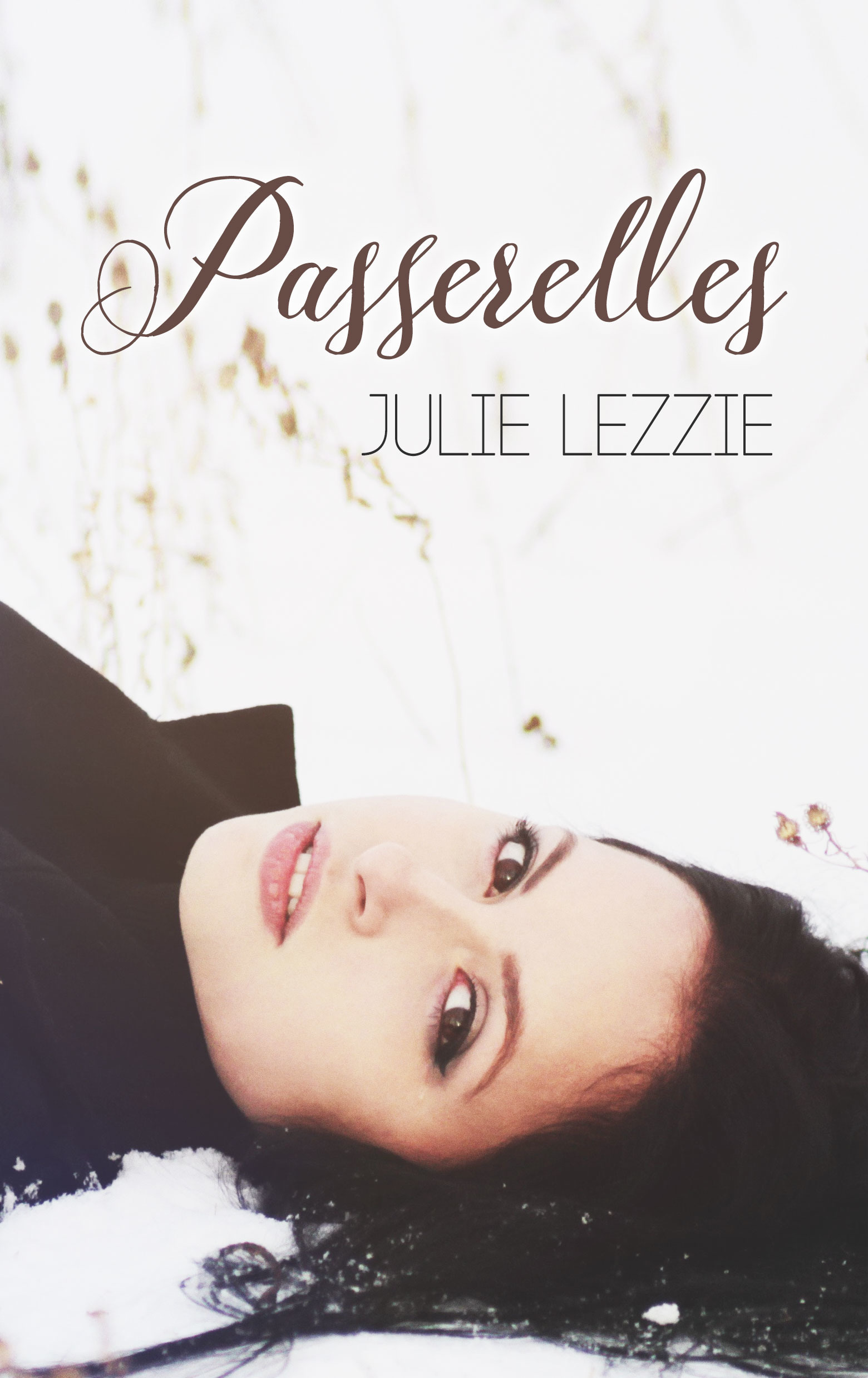 ebook cover of Passerelles (Livre lesbien, roman lesbien), by Julie Lezzie