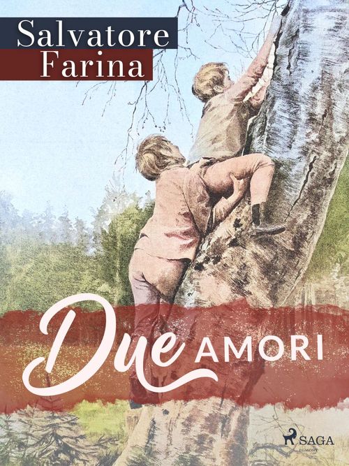 Couverture ebook de Due amori, de Salvatore Farina