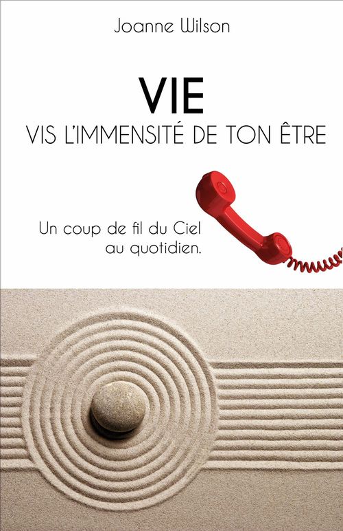 Couverture ebook de VIE, de Joanne Wilson