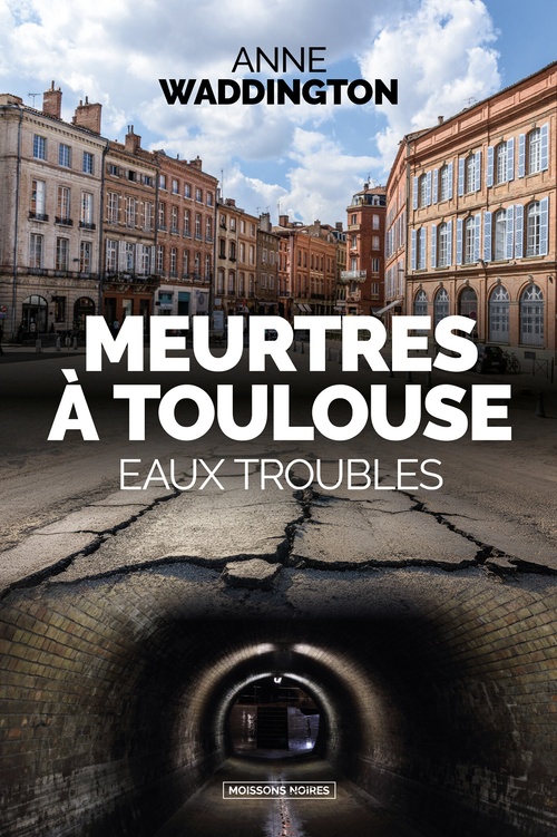 ebook cover of Meurtres à Toulouse, by Anne Waddington