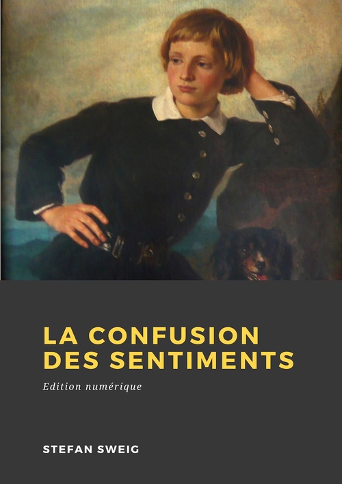 Couverture ebook de La Confusion des sentiments, de Stefan Zweig