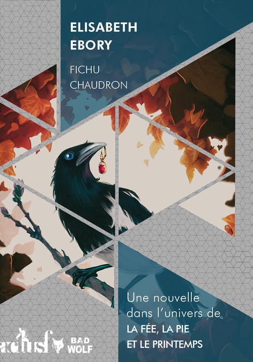ebook cover of Fichu chaudron, by Elisabeth Ebory