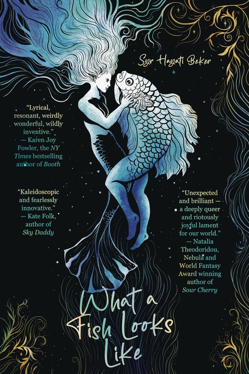 ebook cover of What a Fish Looks Like, by Syr Hayati Beker