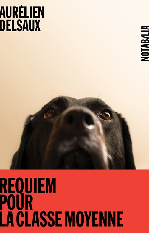 ebook cover of Requiem pour la classe moyenne, by Aurélien Delsaux
