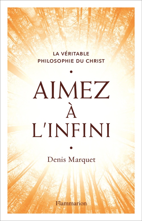 Couverture ebook de Aimez à l'infini, de Denis Marquet