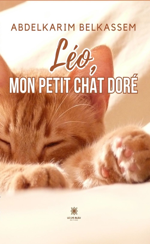 ebook cover of Léo, mon petit chat doré, by Abdelkarim Belkassem