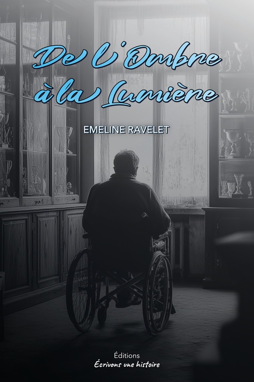 ebook cover of De l'ombre à la lumière, by Emeline Ravelet