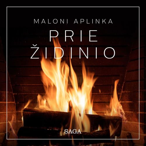 audiobook cover of Maloni aplinka - prie zidinio, by Rasmus Broe