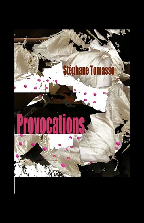 ebook cover of Provocations, by Stephane Tomasso