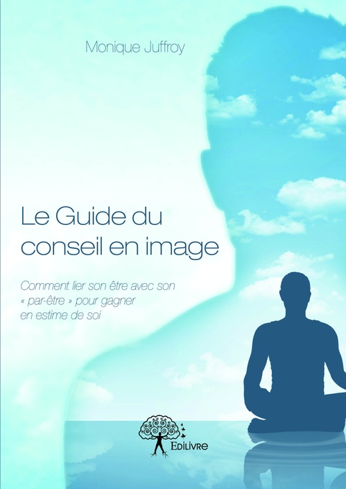 ebook cover of Le Guide du conseil en image, by Monique Juffroy