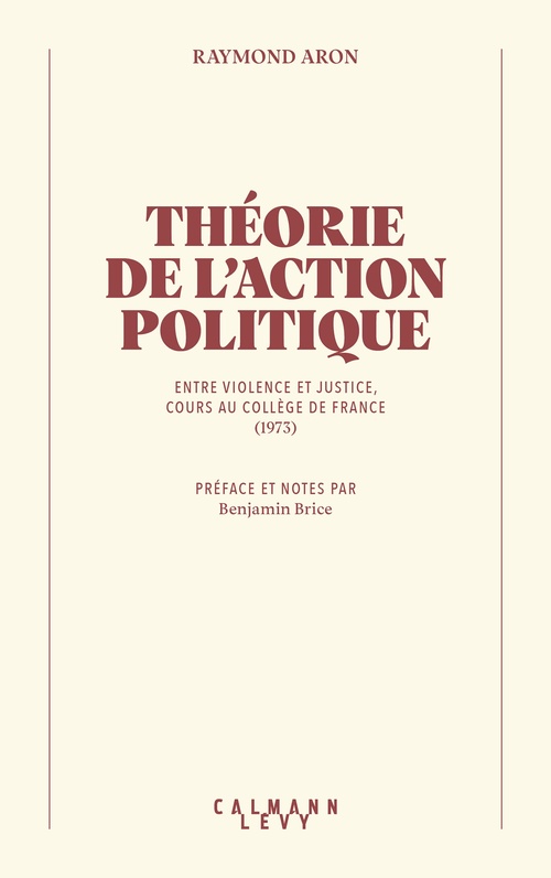 ebook cover of Théorie de l'action politique, by Raymond Aron