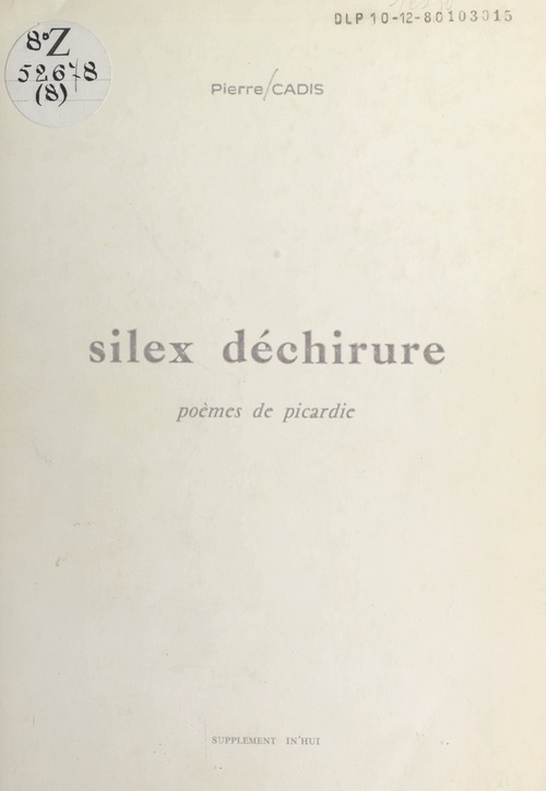 Couverture ebook de Silex déchirure, de Pierre Cadis