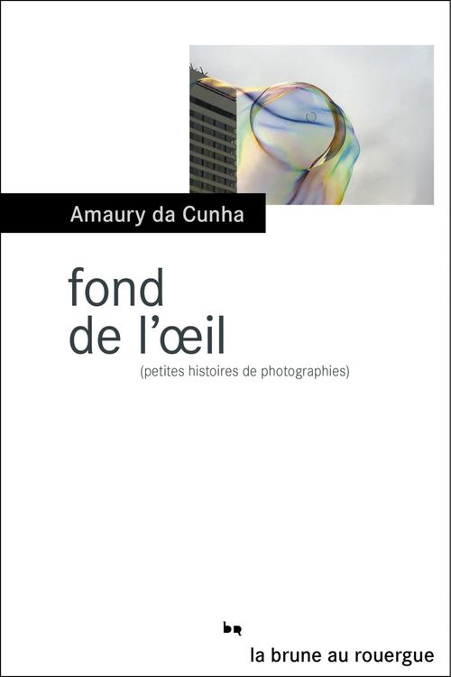 ebook cover of Fond de l'oeil, by Amaury Da Cunha