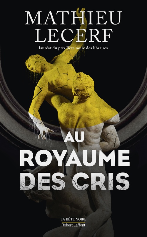 ebook cover of Au Royaume des cris, by Mathieu Lecerf