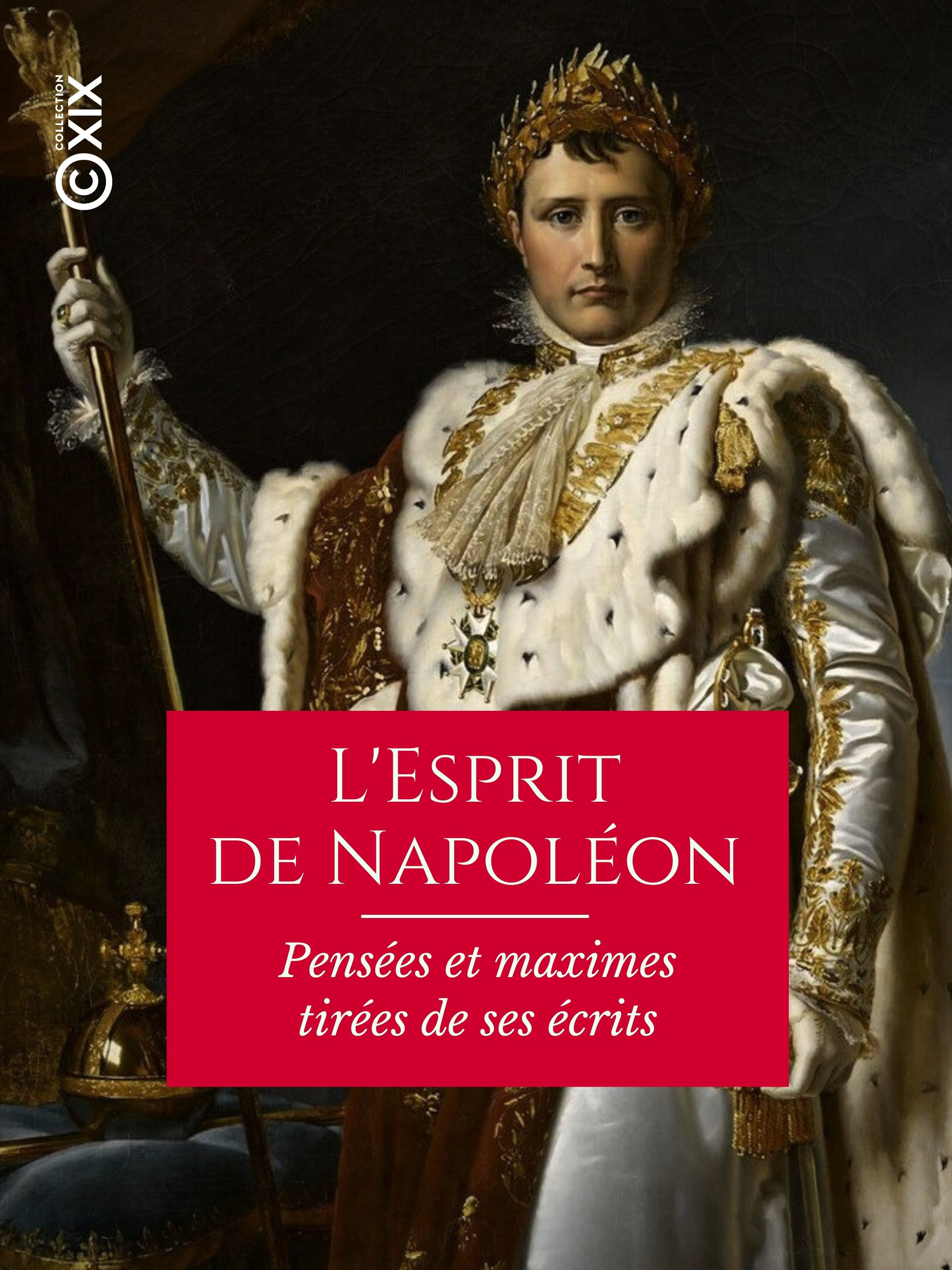 ebook cover of L'Esprit de Napoléon - Pensées et maximes tirées de ses écrits, by Napoléon Bonaparte, Theophile Marion Dumersan