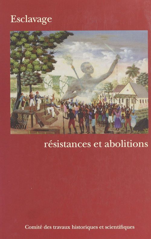 Couverture ebook de Esclavage : Résistances et abolitions, de Marcel Dorigny
