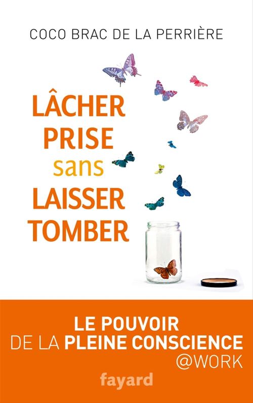 ebook cover of Lâcher prise sans laisser tomber, by Coco Brac de la perrière
