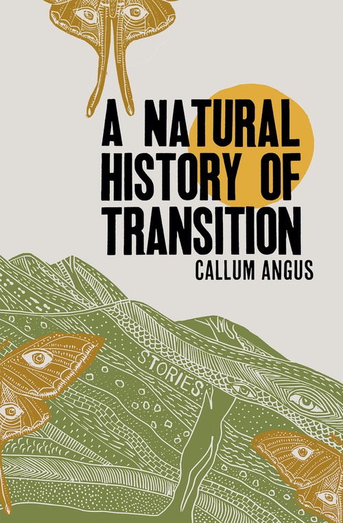 Couverture ebook de A Natural History of Transition, de Callum Angus