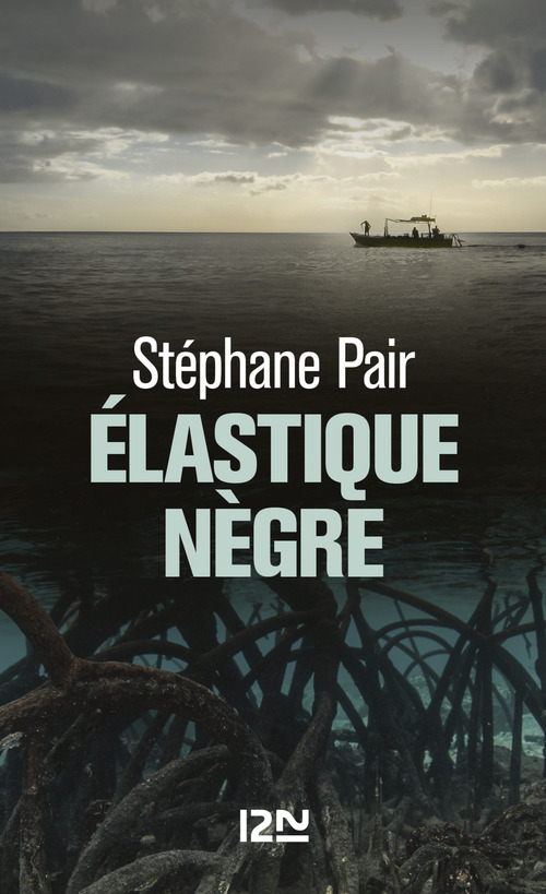 ebook cover of Elastique nègre, by Stéphane Pair