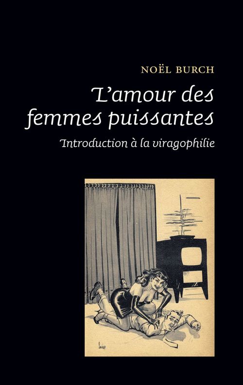 ebook cover of L'amour des femmes puissantes, by Noël Burch