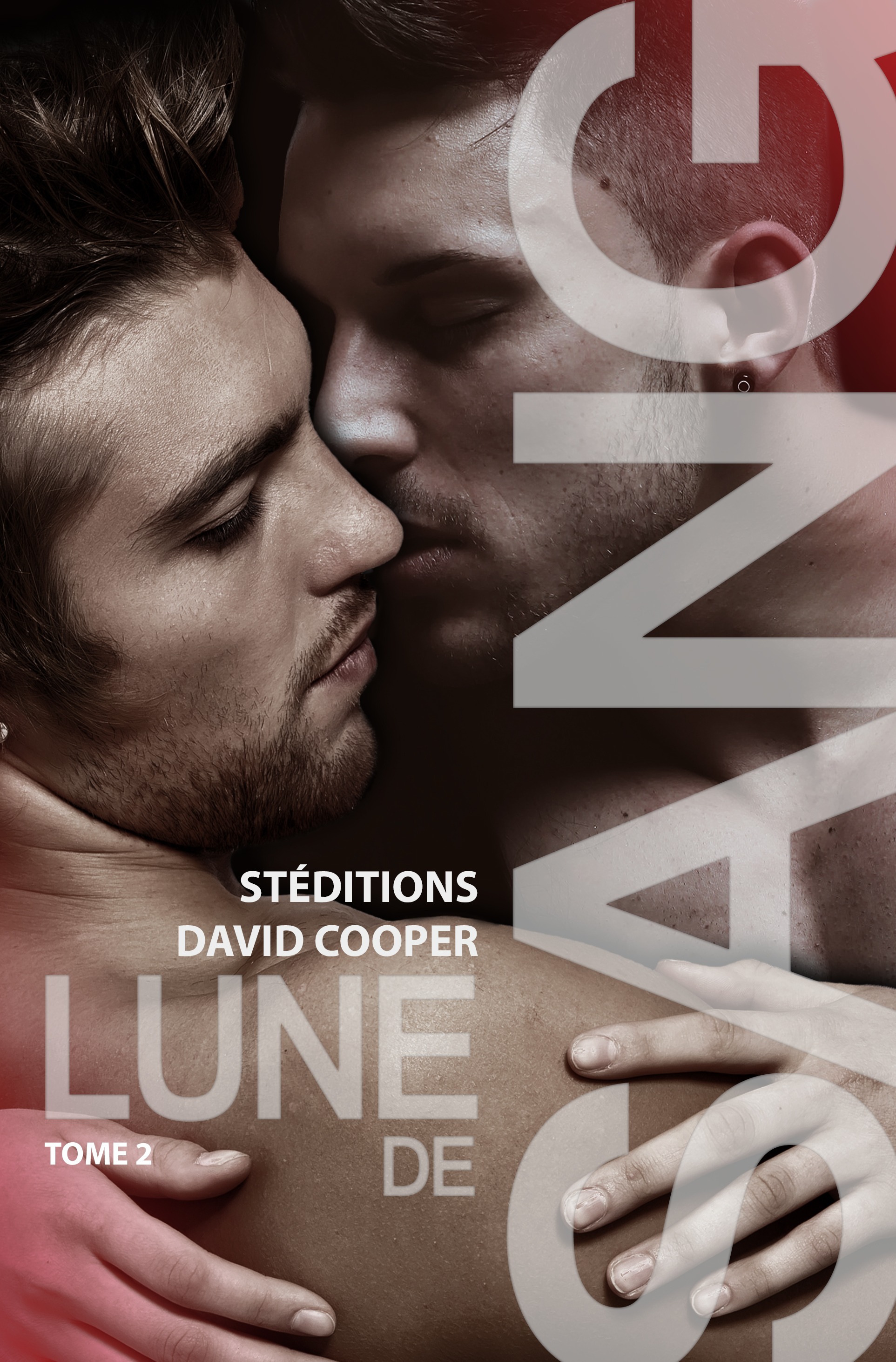 ebook cover of Lune de sang - Tome 2 | Roman gay, livre gay, by David Cooper