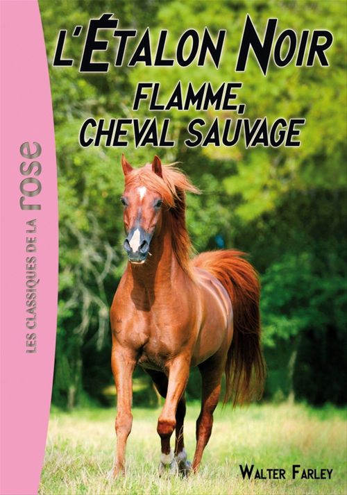 Couverture ebook de L'Étalon Noir 10 - Flamme, cheval sauvage, de Steven Farley, Walter Farley