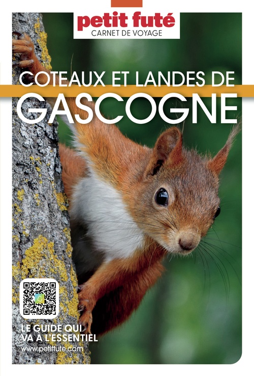 Couverture ebook de Guide Coteaux Et Landes De Gascogne 2025 Carnet Petit Futé, de Collectif petit futé