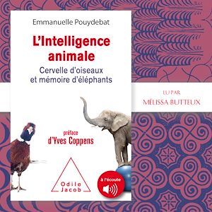 Couverture audiobook de L'intelligence animale, de Emmanuelle Pouydebat