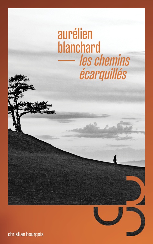 ebook cover of Les chemins écarquillés, by Aurélien Blanchard