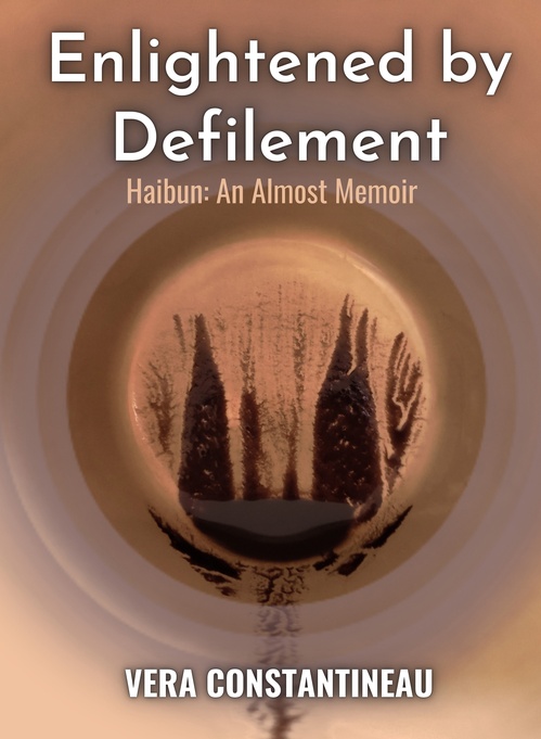 ebook cover of Enlightened by Defilement, by Vera Constantineau