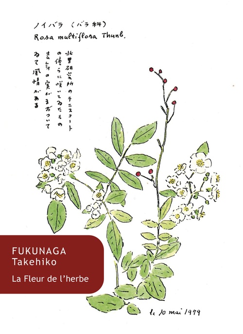 ebook cover of La Fleur de l'herbe, by Takehiko Fukunaga