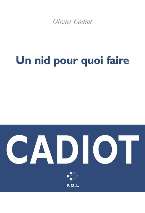 Couverture ebook de Un nid pour quoi faire, de Olivier Cadiot