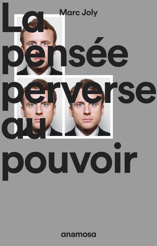 ebook cover of La pensée perverse au pouvoir, by Marc Joly