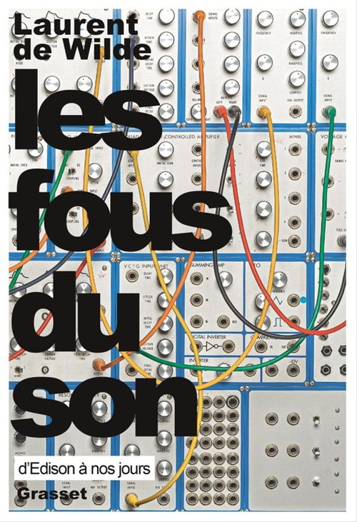 ebook cover of Les fous du son, by Laurent de Wilde
