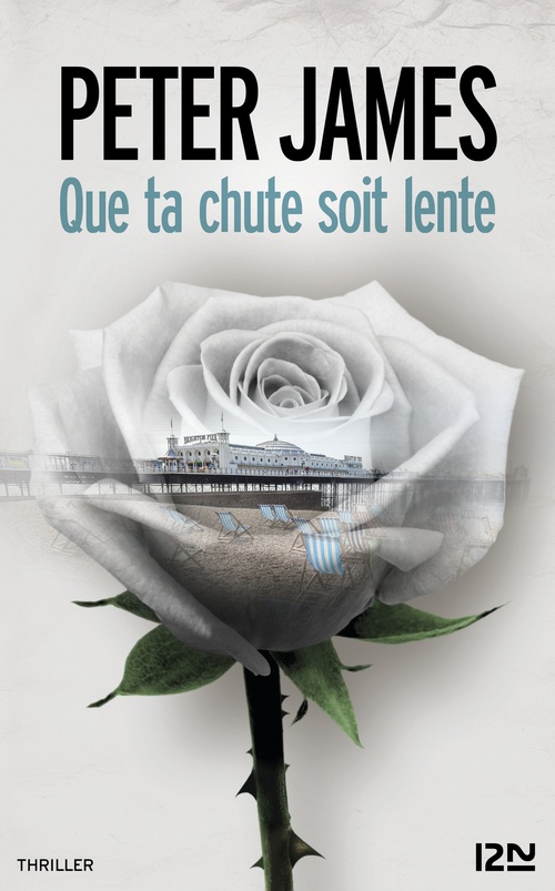 ebook cover of Que ta chute soit lente, by Peter James