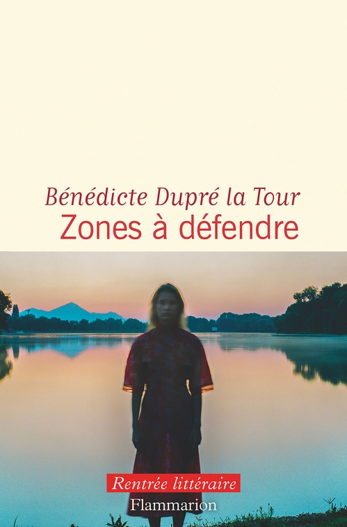 Couverture ebook de Zones à défendre, de Bénédicte Dupré la Tour