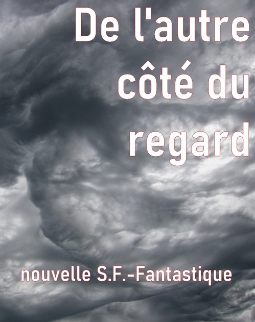 ebook cover of De l´autre côté du regard, by Alexis S.Z.