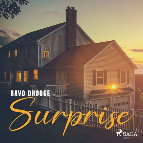 Couverture audiobook de Surprise, de Bavo Dhooge