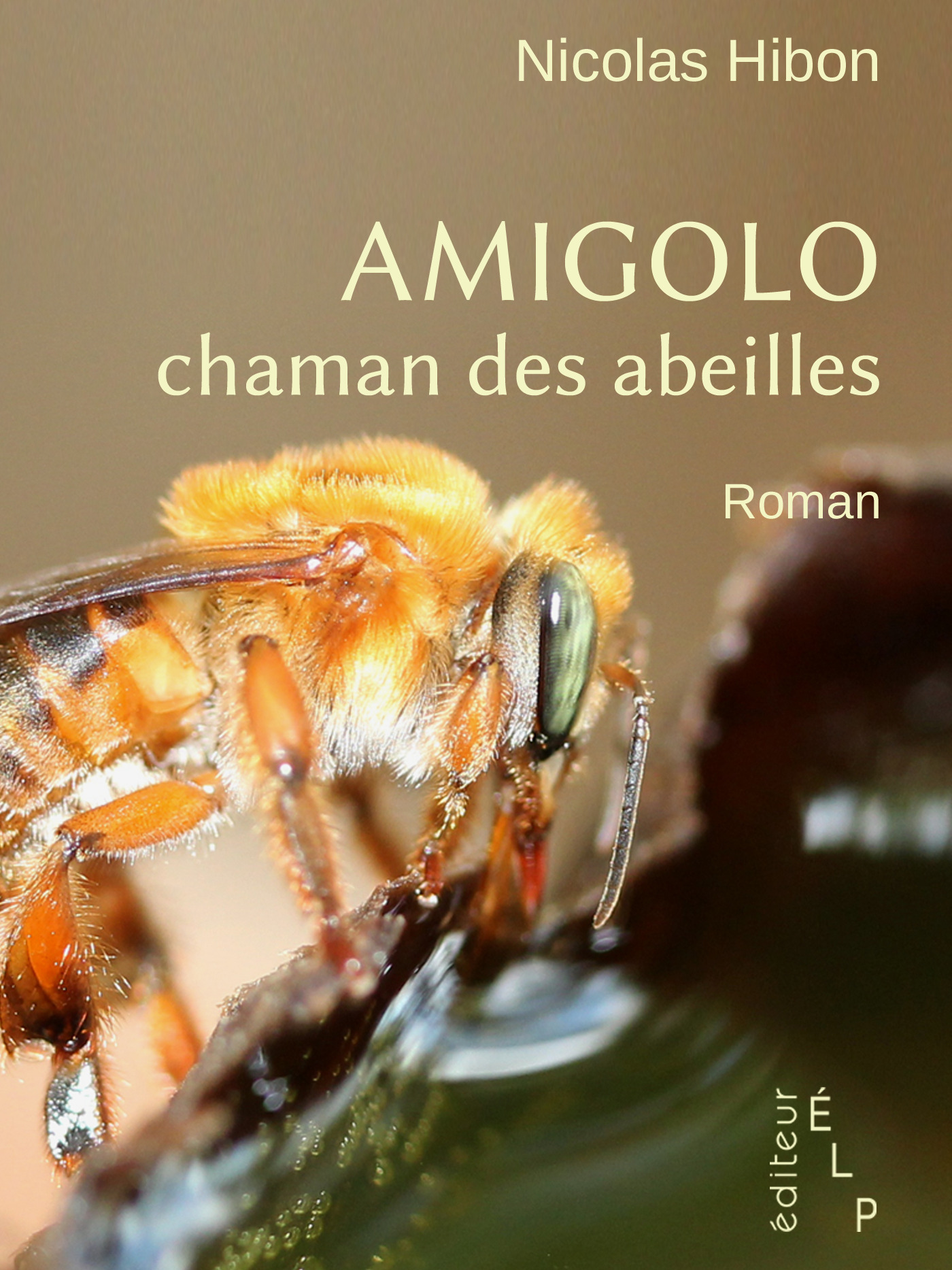 Couverture ebook de Amigolo, chaman des abeilles, de Nicolas Hibon