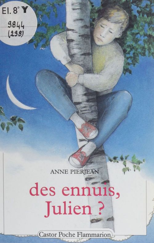 Couverture ebook de Des Ennuis, Julien ?, de Pierjean Anne
